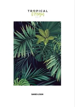 Dark vector tropical typography postcard design with green jungle palm leaves Stock Illustration