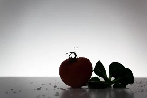 Dark vegetables Stock Photos