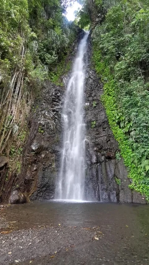 Dark View Falls, St. Vincent and the Grenadines Stock Footage 168450890