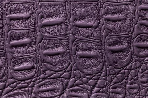 Dark violet leather texture background, closeup. Reptile skin, macro. Stock Photos