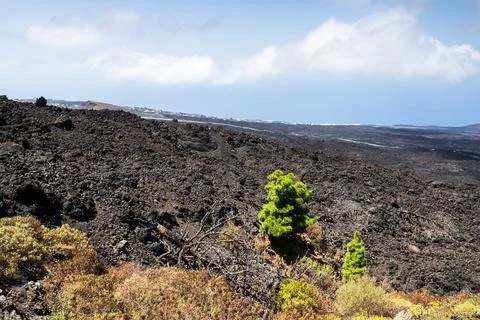 Dark volcanic lava flow fields under cloudy blue sky in La Palma Stock Photos