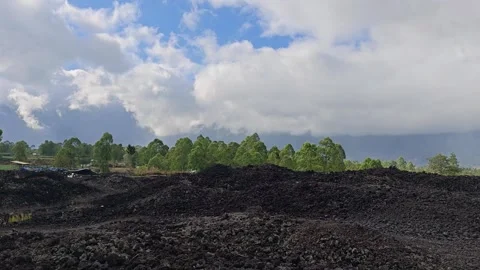Dark volcanic rock field with green trees under cloudy blue sky Stock Footage 338344089