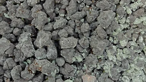 Dark volcanic rock texture covered with green lichen, volcanic soil background Stock Footage 337393397