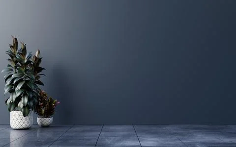 Dark wall empty room with plants on a floor. Stock Photos