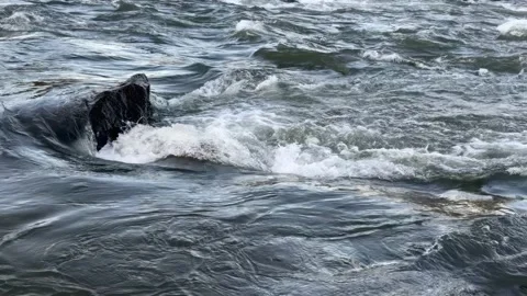 Dark Water Flows Around a Large Rock in the River in slow-motion Stock Footage 300269385