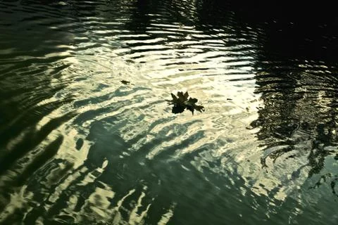 Dark water Stock Photos