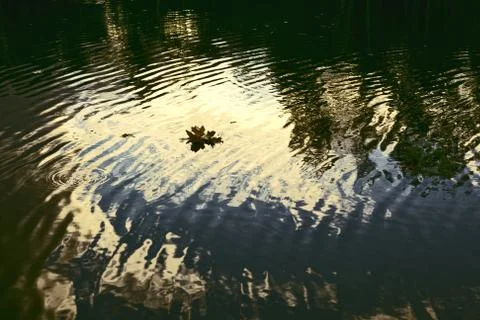 Dark water Stock Photos