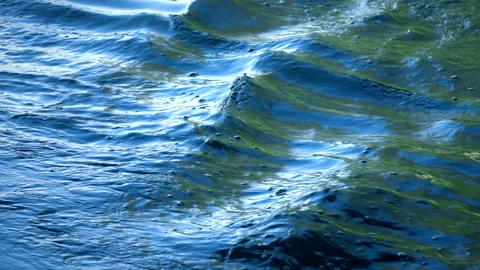 Dark water with rippled waves, calm natural crystal clean water. Stock Footage 249823828