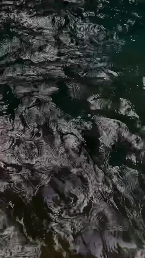 Dark Water Ripples Flowing Over Submerged Rocks Stock Footage 341320427