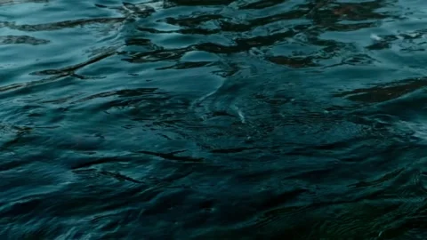 Dark water, ripples on the surface of the river Stock Footage 266987611