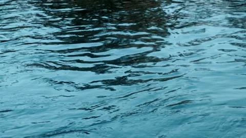 Dark water, ripples on the surface of the river Stock Footage 266987792