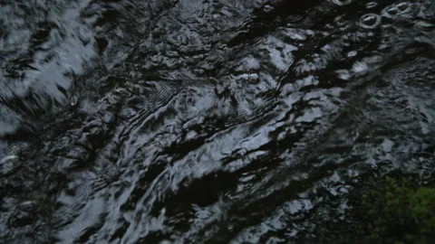 Dark Water in a stream Vidéo 141520413
