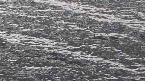 Dark water surface with gentle ripples creating a soothing pattern Stock-Footage 311336325