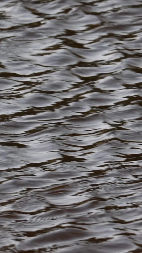 Dark water surface with small ripples, abstract texture. Vertical Video stock 333099574