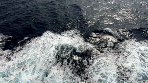 Dark water white foam Stock Footage 282401717