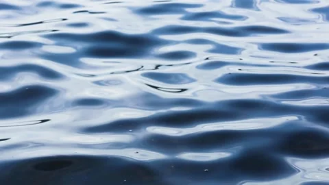 Dark Waters Stock Footage 259320843