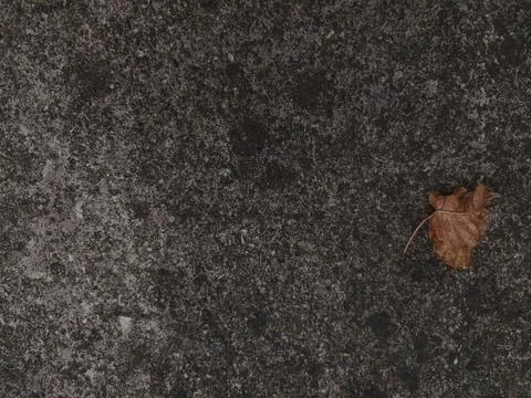 A dark, weathered concrete surface with a single brown leaf in the bottom r.. Stock Photos