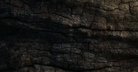 Dark Weathered Wood with Deep Cracks and Shadows Stock Footage 313180296