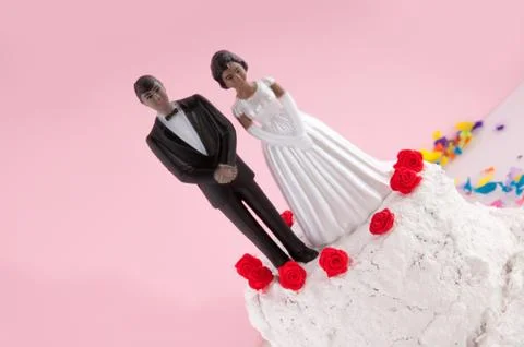 Dark wedding couple Stock Photos