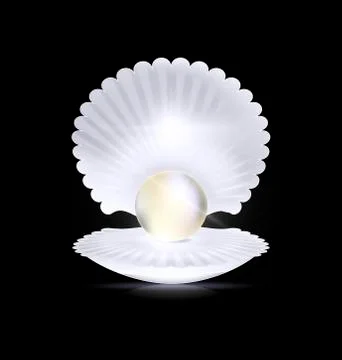 Dark, white pearl and shell Stock Illustration