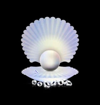Dark, white pearl and shell Stock Illustration