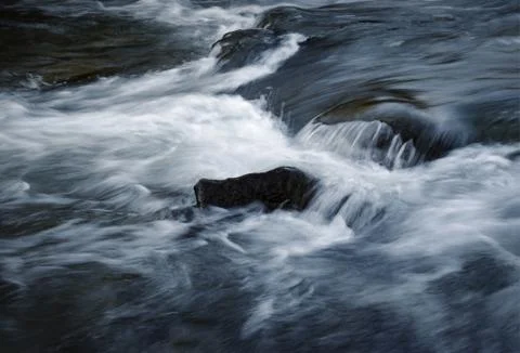 Dark wild river Stock Photos