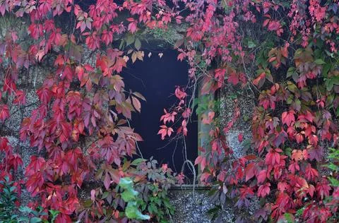 Dark window in an old stone structure Foto stock