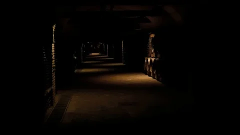 Dark Wine Cellar With Barrels And Bottles Stock Footage 102851512
