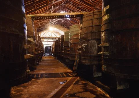 Dark wine cellar at a Bodega in Mendoza, Argentina Fotos de archivo