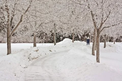 Dark winter day Stock Photos