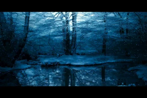 dark winter forest snow scene | Stock Video | Pond5