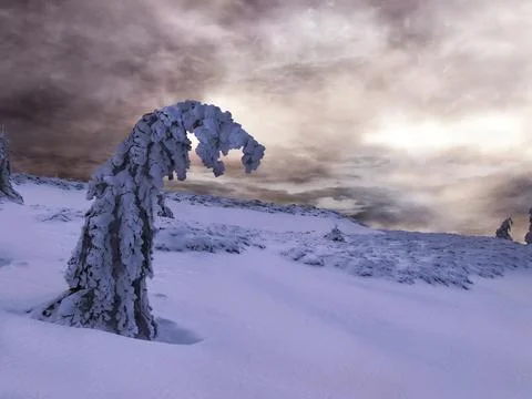 Dark winter landscape Foto stock