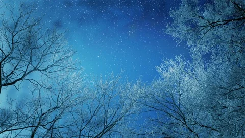 Dark Winter Night Background Vidéo 98729922