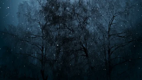 Dark Winter Night Background 動画素材 121437777