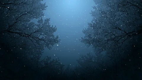 Dark Winter Night Background Vídeos de archivo 121437892