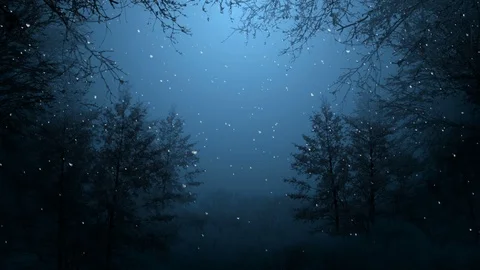 Dark Winter Night Background Vídeos de archivo 121438016