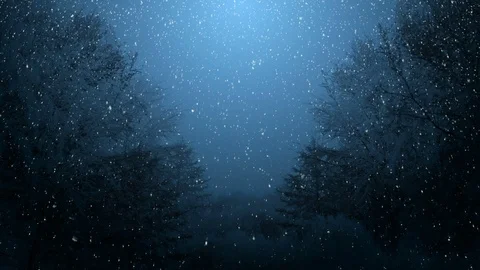 Dark Winter Night Background Stock-Footage 121438151