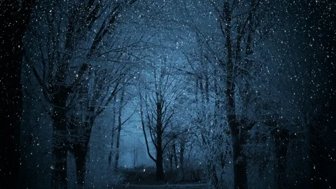 Dark Winter Night Background 库存影片 121438436