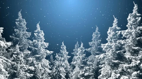 Dark Winter Night Background Stock-Footage 121438555
