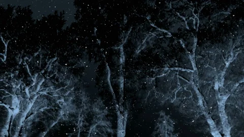 Dark Winter Night Background Loop Stock-Footage 141134011
