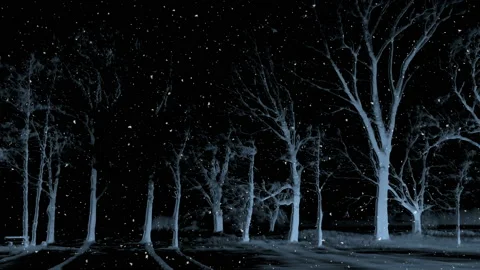 Dark Winter Night Background Loop Vidéo 141135211