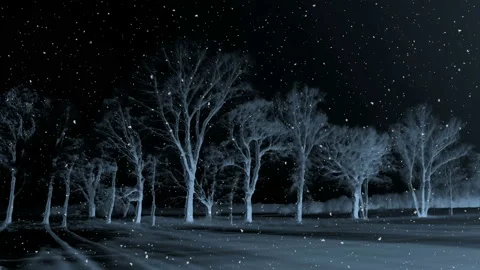 Dark Winter Night Background Loop Stock Footage 141135517