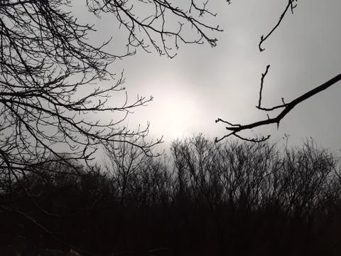 Dark Winter Sky Stock Photos