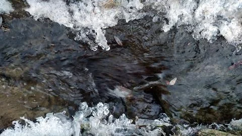 Dark winter stream close-up Stock Photos