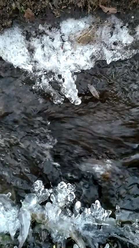 Dark winter stream Close up. The real video. Close-up Stock Footage 300117840