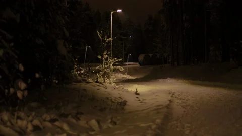 Dark Winterroad Stockbeeldmateriaal 169791246