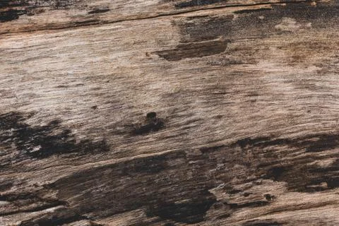 Dark wood floor pattern background Foto stock