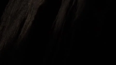Dark wood grain close-up with subtle texture. Stock Footage 296157930