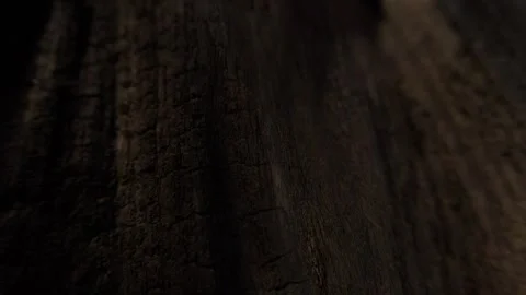 Dark wood surface with sharp contrasts and grooves. Stock Footage 289549258