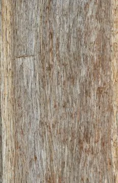 Dark wood texture background Foto stock